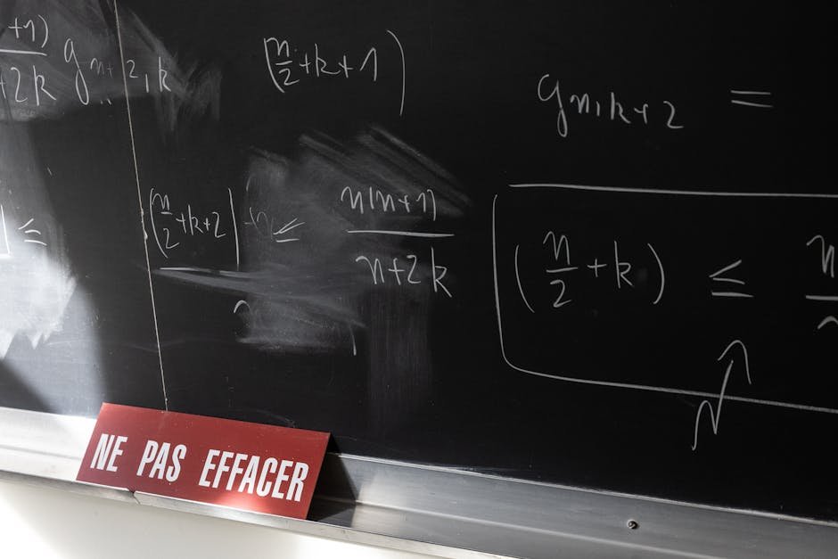 delf b1 online course