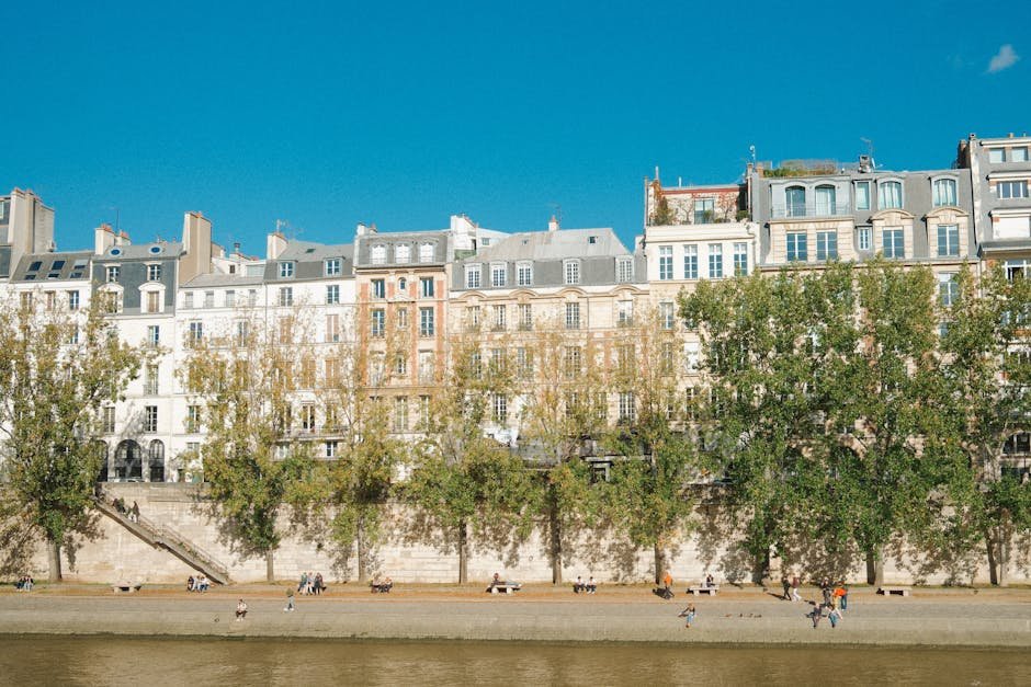 french course beginner delf a1 cefrl official certificate online course