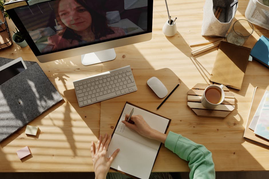 TOEFL certificate online